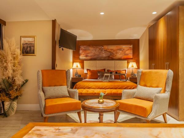 Lord Morgan & Exclusive Design Cihangir : photo 8 de la chambre suite présidentielle