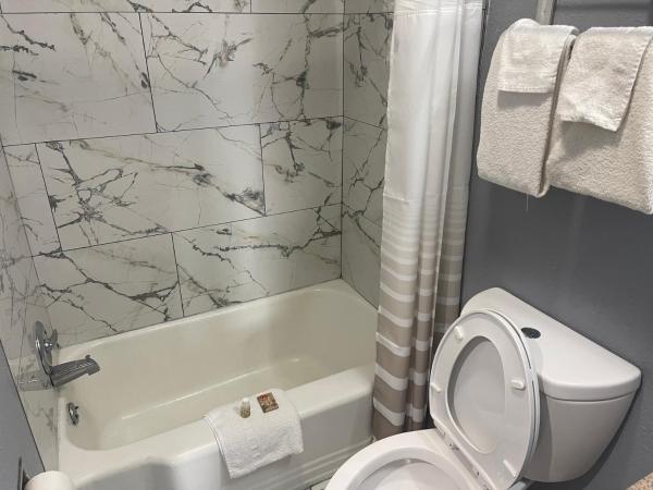 Americas Best Value Inn-Savannah : photo 2 de la chambre hébergement lit king-size - fumeurs