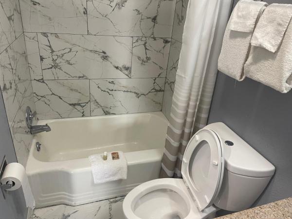 Americas Best Value Inn-Savannah : photo 4 de la chambre chambre 2 lits doubles fumeurs