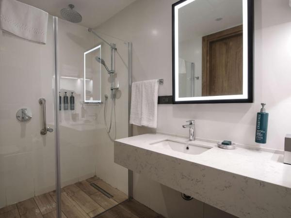 Hilton Garden Inn Ankara Cankaya : photo 4 de la chambre chambre lit king-size