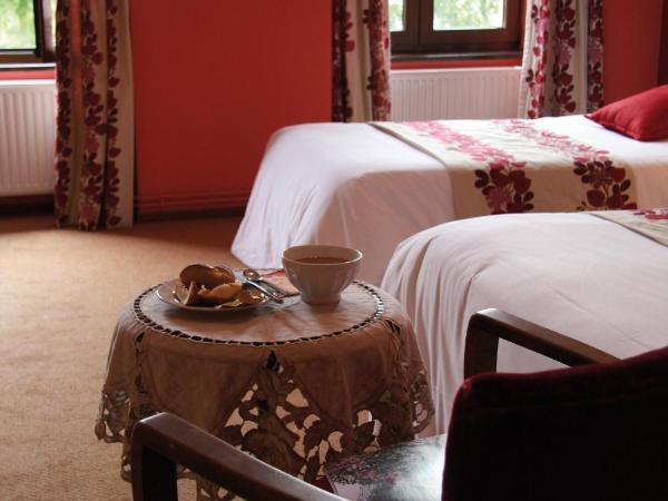 Le Gouverneur Hotel : photo 6 de la chambre chambre quadruple