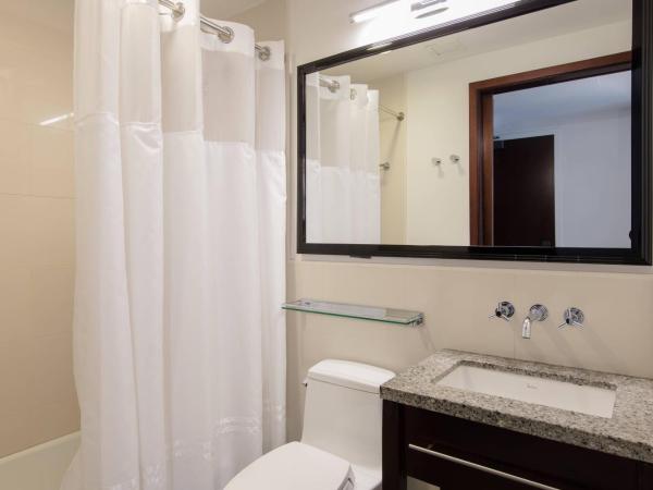 Marriott Vacation Club®, New York City  : photo 3 de la chambre chambre avec 2 lits doubles - vue sur ville