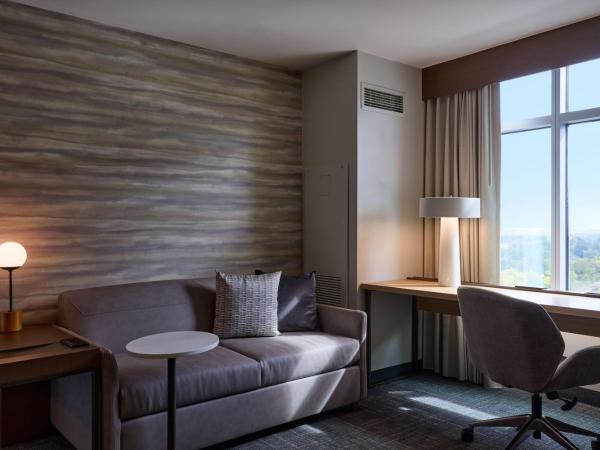 Residence Inn Arlington Capital View : photo 3 de la chambre studio lit king-size - vue sur ville