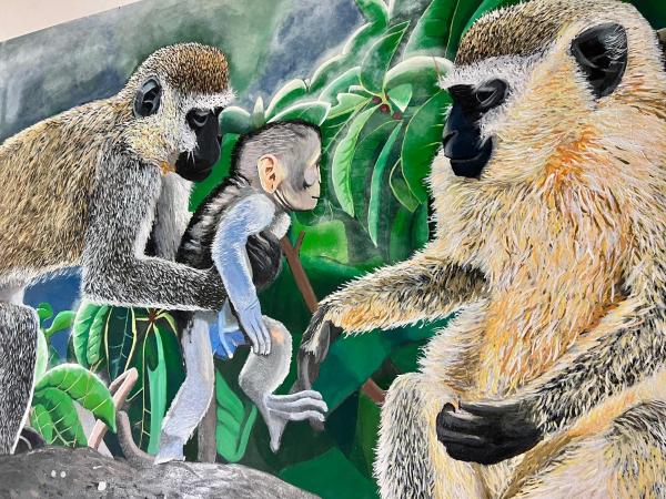 Beach Jungle : photo 9 de la chambre lit simple dans dortoir mixte