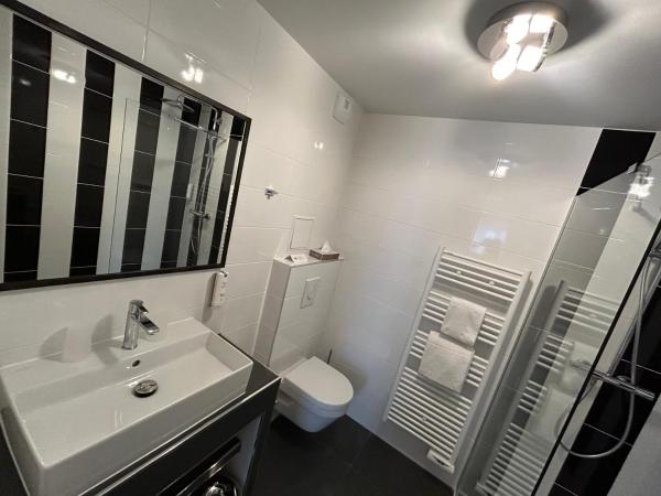 Hôtel Le Bristol Strasbourg Gare : photo 3 de la chambre chambre double privilège rénovée