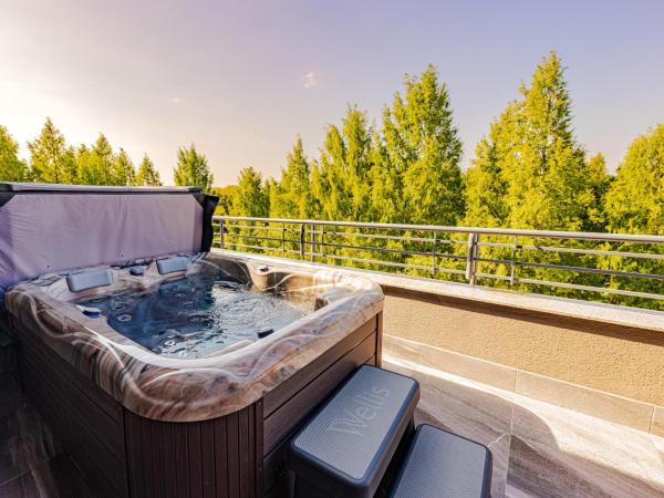 Lotus Therme Hotel & Spa : photo 2 de la chambre chambre double avec baignoire spa