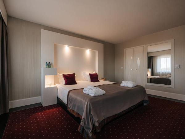 Platinum Palace Boutique Hotel & SPA : photo 4 de la chambre chambre double deluxe