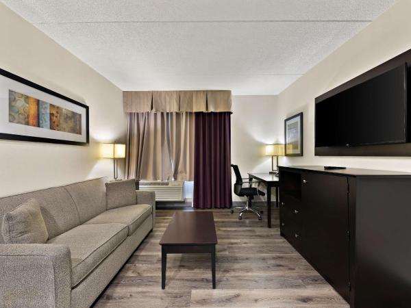 Best Western Plus Toronto North York Hotel & Suites : photo 2 de la chambre suite lit queen-size et canapé-lit