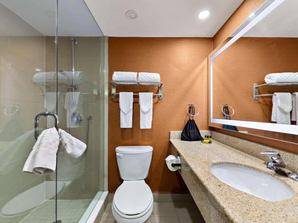 Best Western Plus Toronto North York Hotel & Suites : photo 5 de la chambre suite lit king-size de luxe avec baignoire spa
