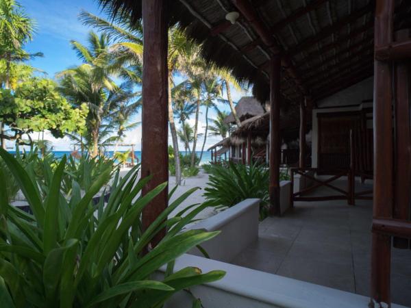 BT Live Tulum located at the party zone : photo 9 de la chambre bungalow