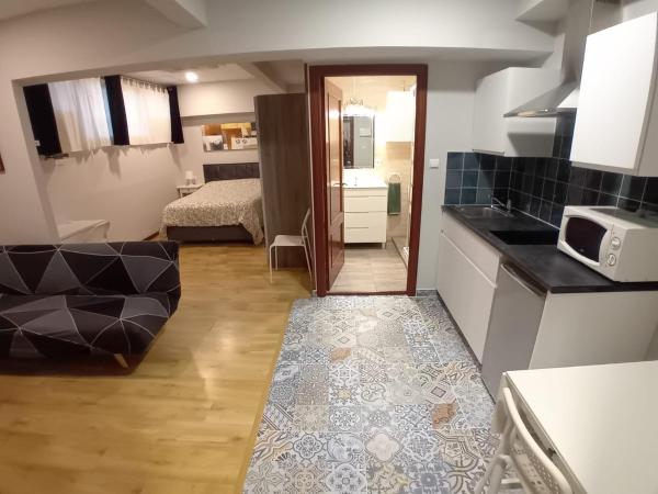 Estudios Bilbao Deusto : photo 7 de la chambre appartement