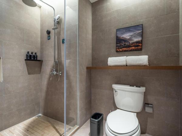Atour Hotel Shanghai Hongqiao Xinzhuang Business District : photo 2 de la chambre jimu double room