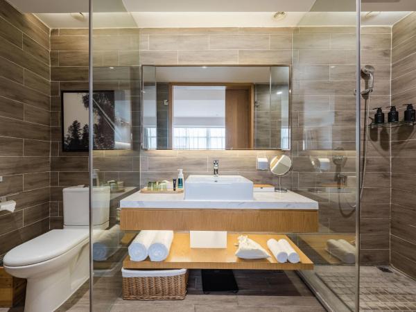 Atour X Hotel Wuxi New Zone Gelunbu Plaza : photo 2 de la chambre jimu twin room