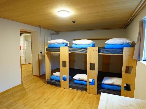 Naturfreunde Hostel Grindelwald : photo 2 de la chambre lit dans dortoir femmes de 6 lits avec salle de bains commune