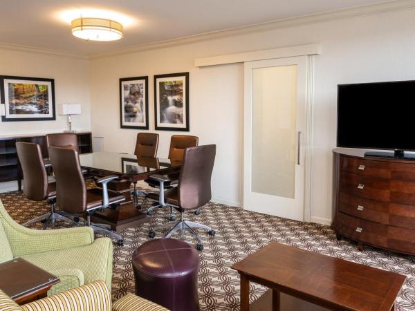 Pittsburgh Marriott City Center : photo 1 de la chambre petite suite lit king-size - vue sur ville