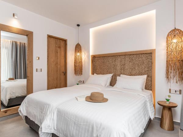 Naxos Resort Beach Hotel : photo 6 de la chambre chambre lits jumeaux supérieure - vue sur jardin