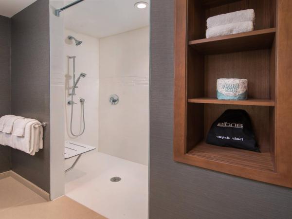 Residence Inn by Marriott Baltimore at The Johns Hopkins Medical Campus : photo 5 de la chambre king studio with sofabed - skyline view