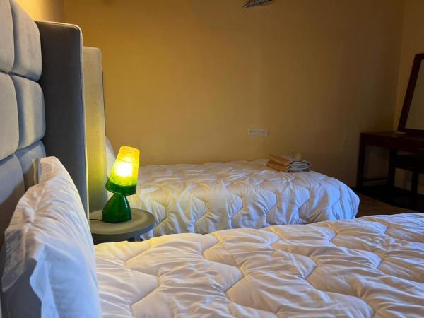 Kasbah de Tifoultoute : photo 5 de la chambre chambre lits jumeaux avec terrasse