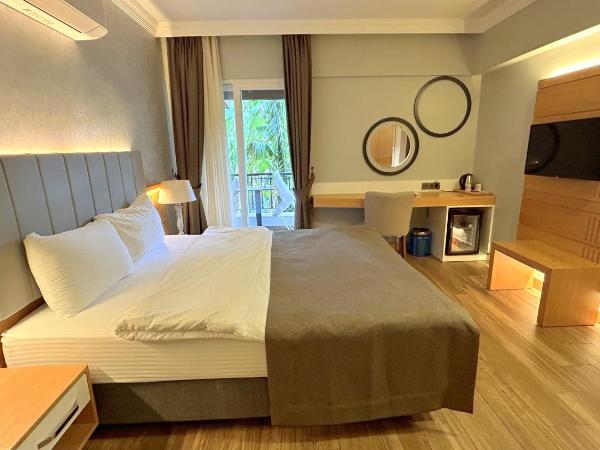 Istankoy Hotel : photo 5 de la chambre chambre double ou lits jumeaux standard avec balcon