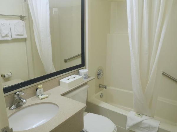 Travelodge by Wyndham Edmonton West : photo 4 de la chambre chambre lit king-size - non-fumeurs