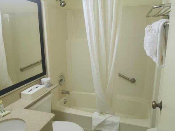 Travelodge by Wyndham Edmonton West : photo 5 de la chambre chambre lit king-size - non-fumeurs