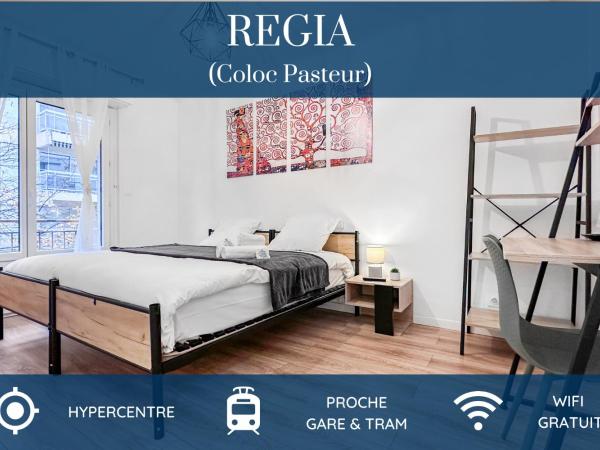 COLOC PASTEUR - Belle colocation de 3 chambres - Hypercentre - Proche Gare et Tram - Wifi gratuit : photo 1 de la chambre appartement 1 chambre