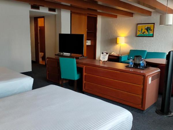 Hotel Metropol : photo 8 de la chambre suite double standard