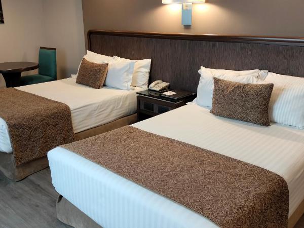 Hotel Metropol : photo 2 de la chambre chambre double supérieure