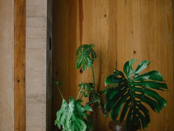 Hotel Escondido Oaxaca, a Member of Design Hotels : photo 4 de la chambre suite supérieure