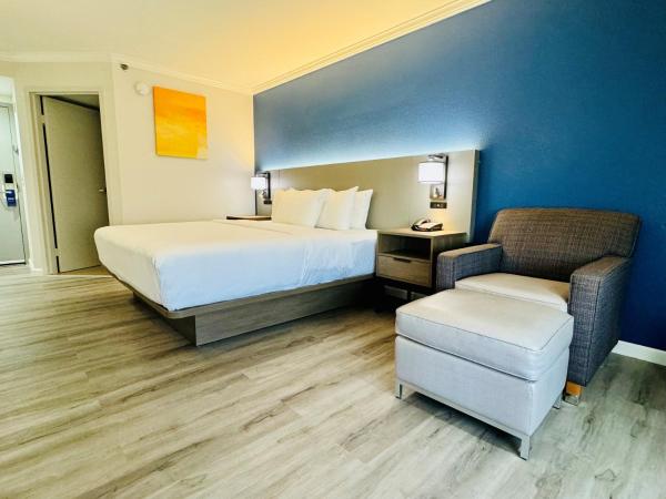 Comfort Inn & Suites Houston I-10 West Energy Corridor : photo 3 de la chambre suite lit king-size avec canapé-lit - non-fumeurs