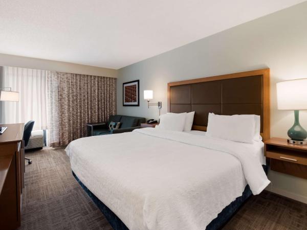Hampton Inn Columbia-I-26 Airport : photo 1 de la chambre chambre lit king-size exécutive avec canapé-lit - non-fumeurs