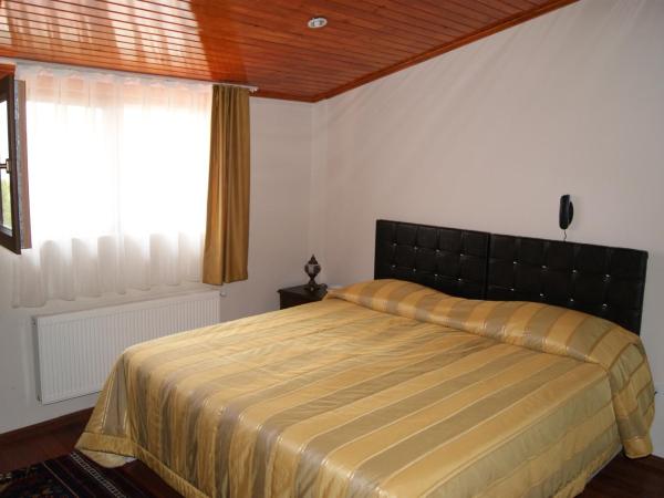Yeşilköy Airport Hotel : photo 5 de la chambre chambre simple standard