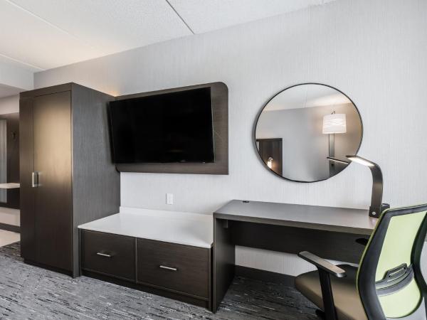 Holiday Inn Express & Suites - Toronto Airport South, an IHG Hotel : photo 2 de la chambre chambre lit king-size standard