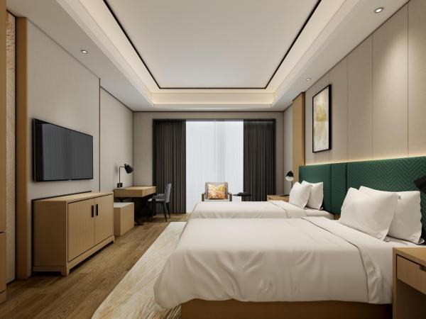 Hilton Garden Inn Wuhan Hankou : photo 5 de la chambre chambre lits jumeaux - vue sur ville