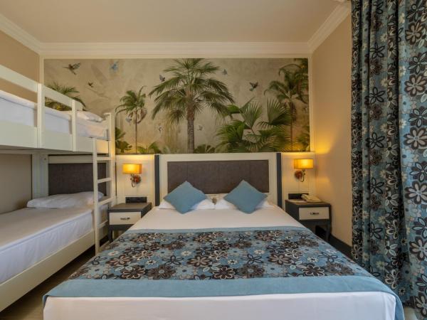 Crystal Paraiso Verde Resort & Spa - Ultimate All Inclusive : photo 3 de la chambre chambre double standard avec lits superposés