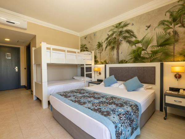 Crystal Paraiso Verde Resort & Spa - Ultimate All Inclusive : photo 2 de la chambre chambre double standard avec lits superposés