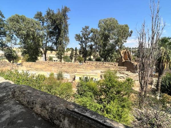HOTEL DU PARC : photo 2 de la chambre chambre double