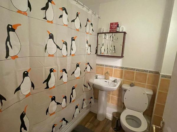 Dublin Airport, DCU : photo 3 de la chambre lit superposé dans dortoir mixte