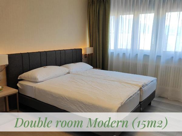 Hotel Nessi Locarno : photo 3 de la chambre chambre double moderne - vue sur montagne