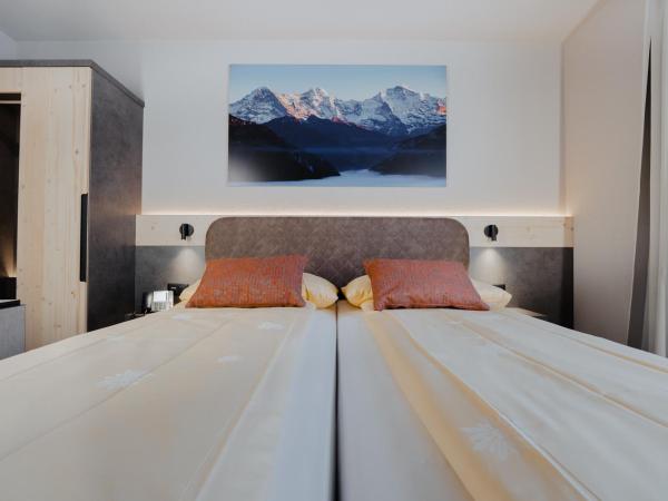 Hotel Central Wolter - Grindelwald : photo 5 de la chambre chambre double standard