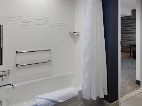 Residence Inn by Marriott Columbus Airport : photo 8 de la chambre suite 1 chambre lit king-size avec canapé-lit