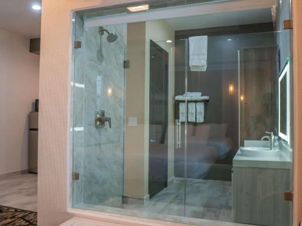 SureStay Hotel by Best Western Houston Southeast : photo 2 de la chambre chambre lit king-size - non-fumeurs