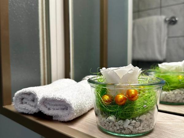 Hotel Nessi Locarno : photo 10 de la chambre chambre double confort avec balcon