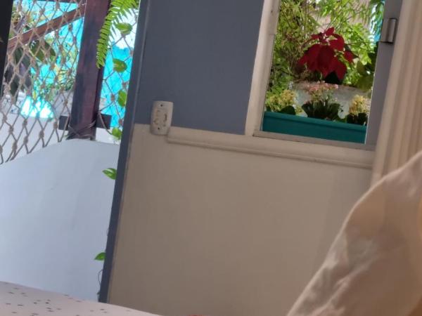 Pousada Recanto da Família : photo 6 de la chambre suite - vue sur jardin