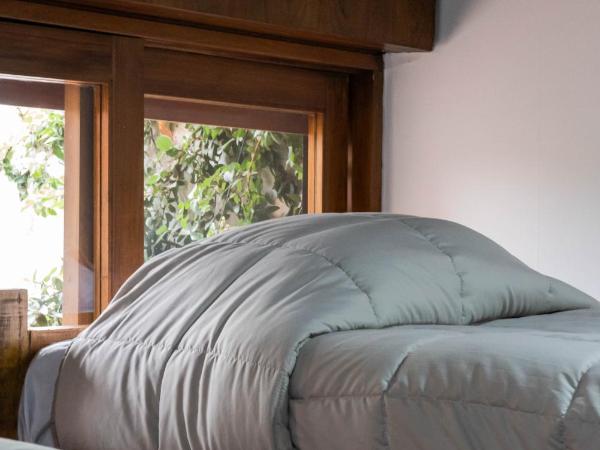 Hostel Casa Roble : photo 1 de la chambre lit dans dortoir pour femmes de 4 lits