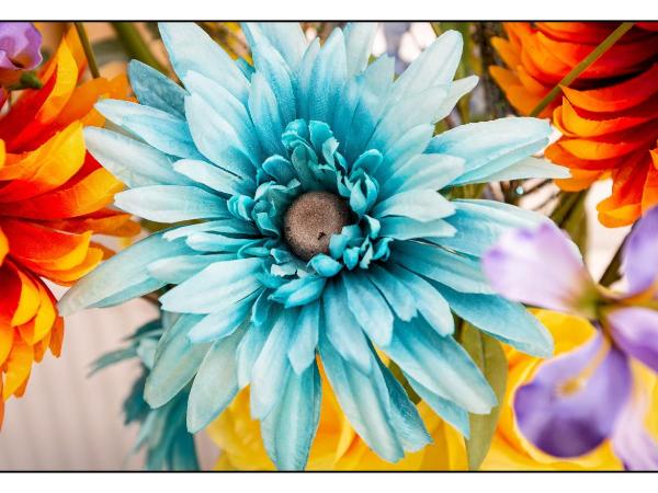 Pembroke Bed & Breakfast : photo 6 de la chambre suite deluxe