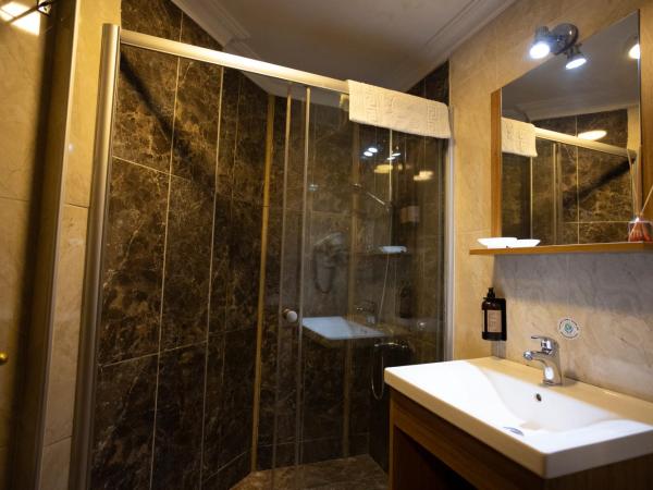 Hotel Tashkonak Istanbul : photo 8 de la chambre chambre triple