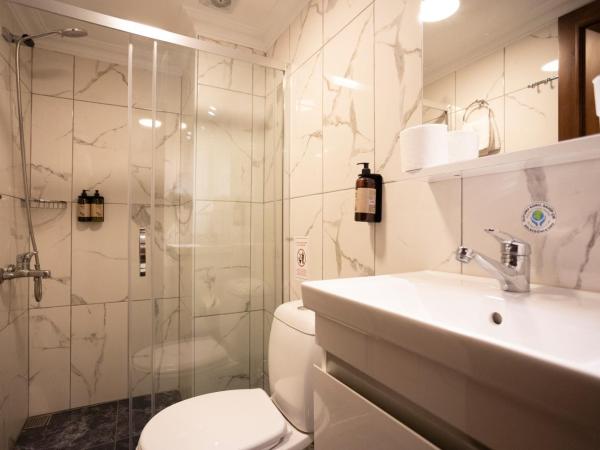 Hotel Tashkonak Istanbul : photo 10 de la chambre chambre double ou lits jumeaux Économique - rez-de-chaussée