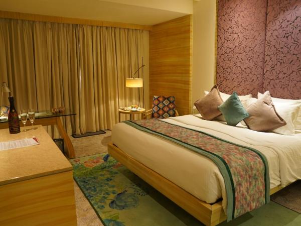 Hotel Royal Orchid Jaipur, Tonk Road : photo 5 de la chambre chambre bassin profond