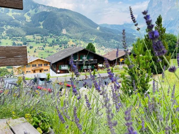 Jägerstübli Grindelwald : photo 2 de la chambre chalet 1 chambre